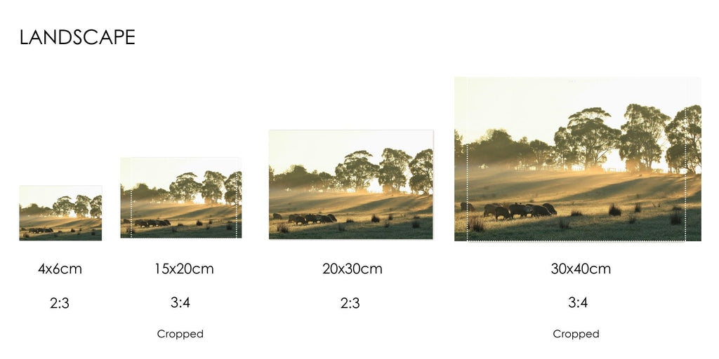 WHAT ARE PHOTO ASPECT RATIOS?