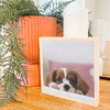 On a Block - Square Wood Photo block Set of 4