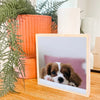 On a Block - Square Wood Photo block Set of 8